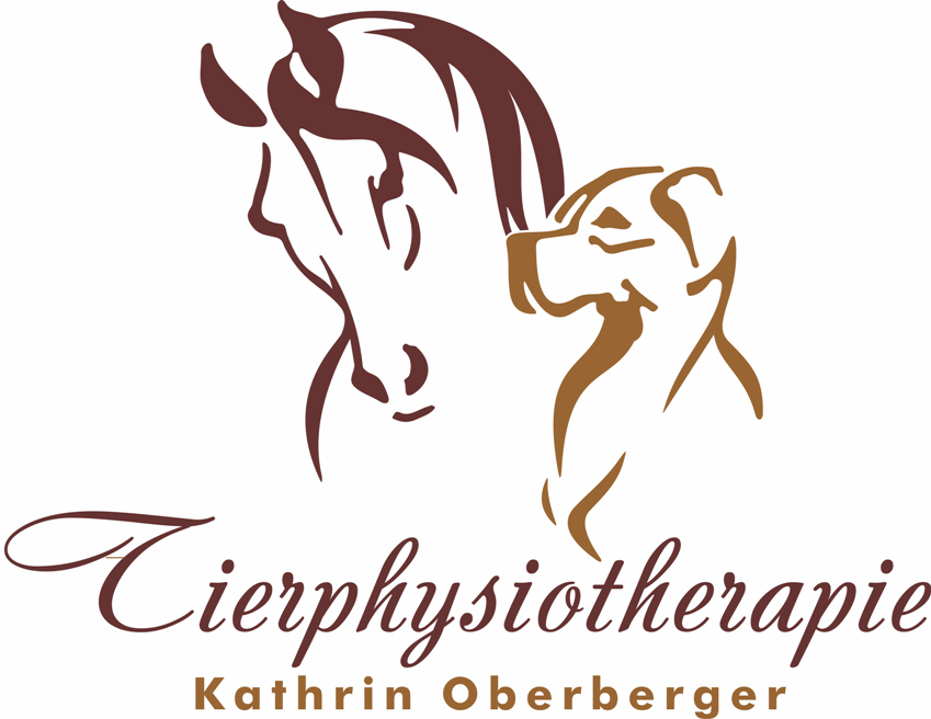 Logo Farbig klein